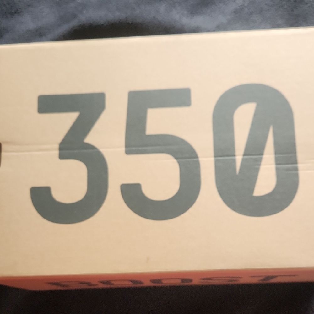 Yeezy Boost 350 V2 Static/Static